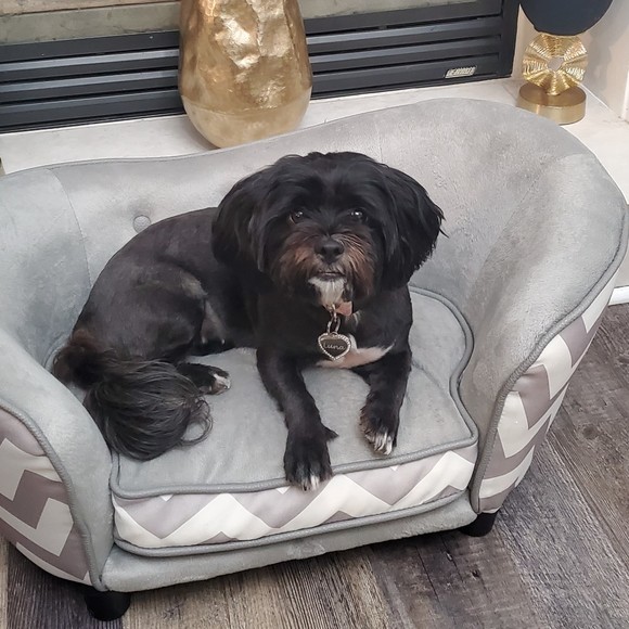 Meet your Posher, Posh - Picture 1 of 1